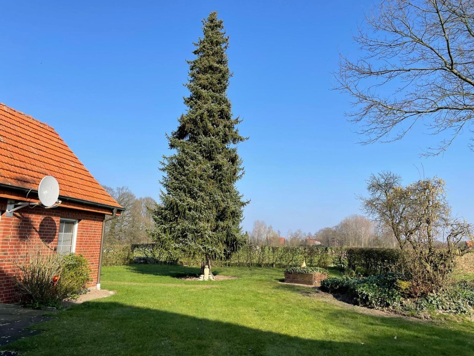 Ferienwohnung Kiebitzheide Beelen Kültér fotó